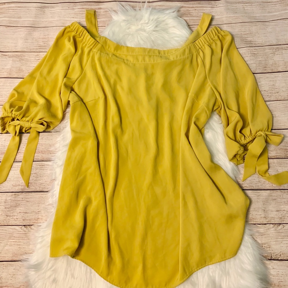 🎉2xHP!🎉Eloquii Off the Shoulder Tunic Top